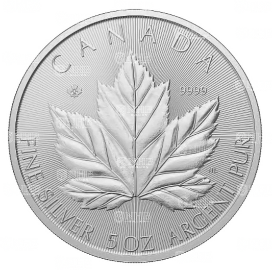 5 oz Canadian Grand Maple Leaf Silver Coin (2026)