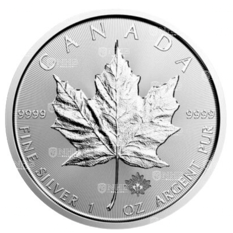 1 oz Canadian Maple Leaf Silver Coin (Random year)