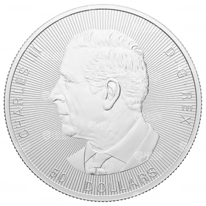 10 oz Magnificent Maple Leaves Silver Coin (2025)