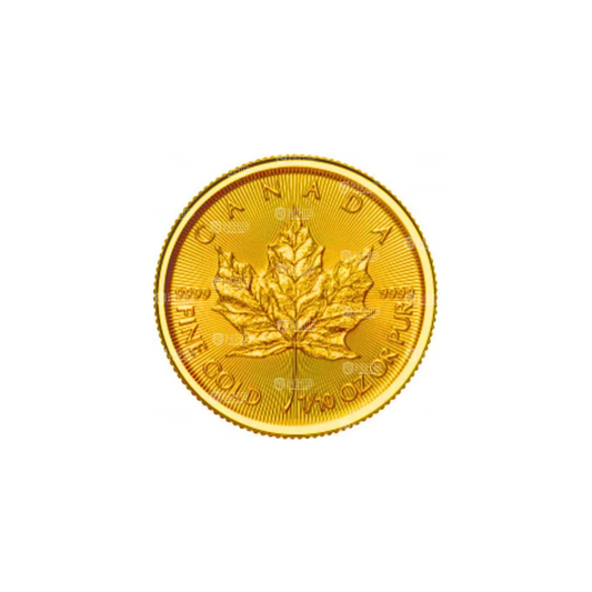 1/10 oz Canadian Maple Leaf Gold Coin (2026)