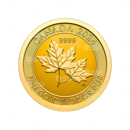 1/4 oz Twin Maple Leaves Gold Coin (2024)