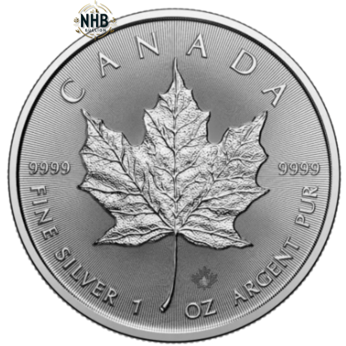 1 oz Canadian Maple Leaf Silver Coin (2025)